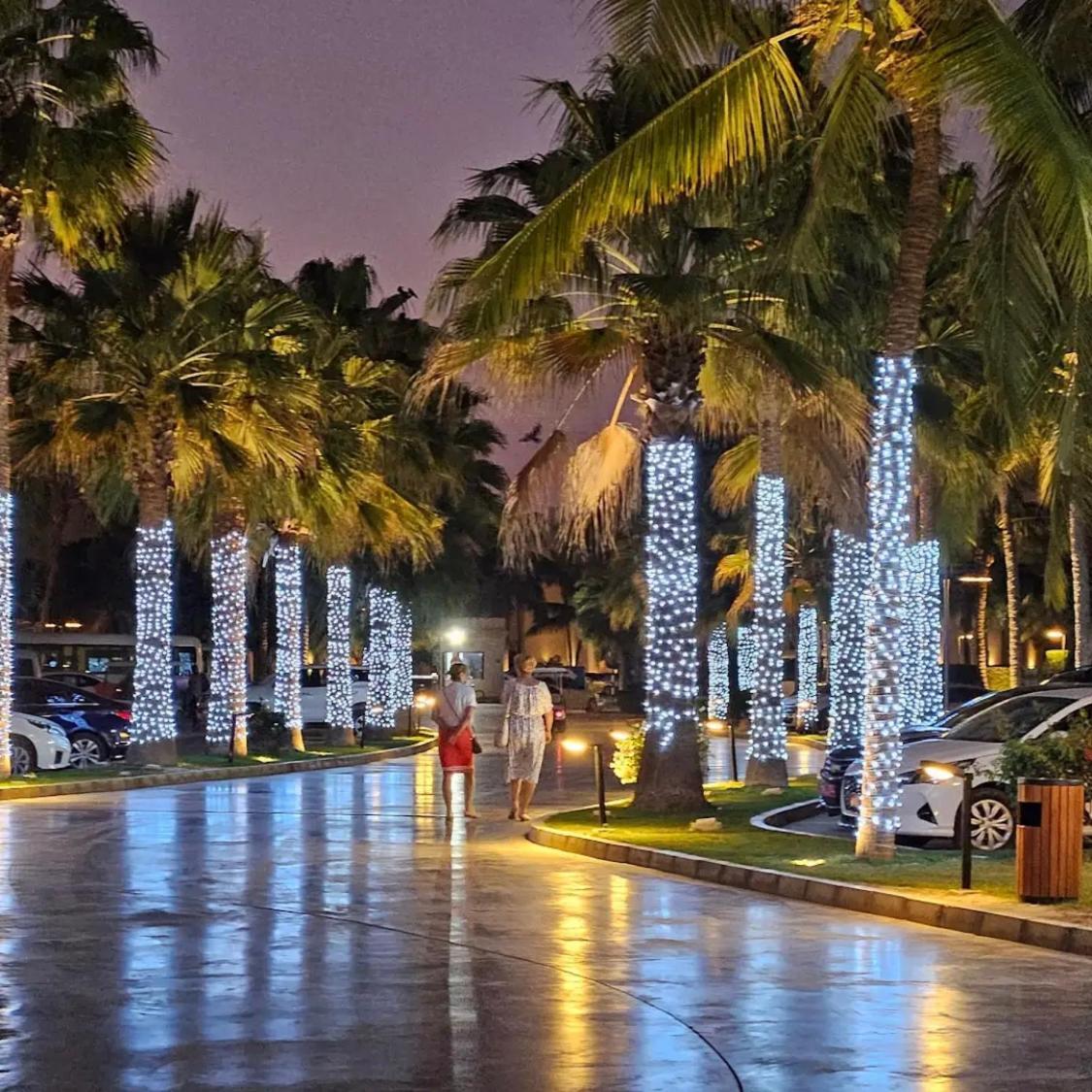 Beachfront With Pool & Stunning View * Salalah